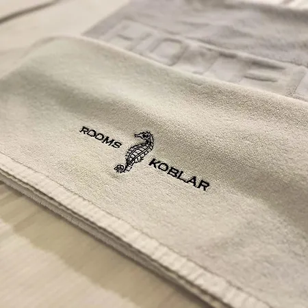 招待所 Koblar