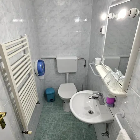 Guest house Koblar 2*