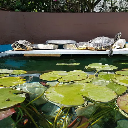 게스트하우스 Koblar