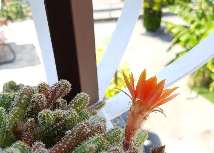 Koblar بيت ضيافة 4*