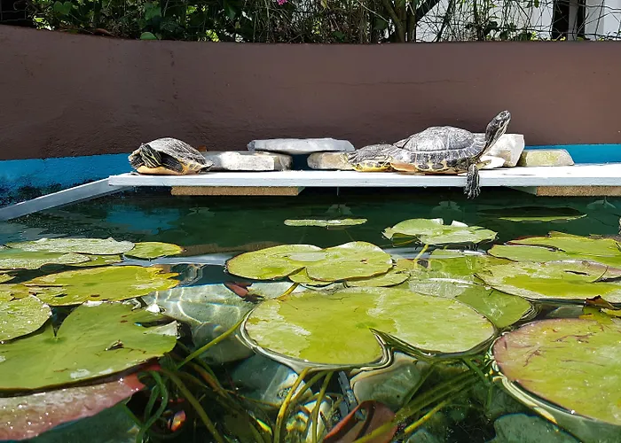 بيت ضيافة Koblar